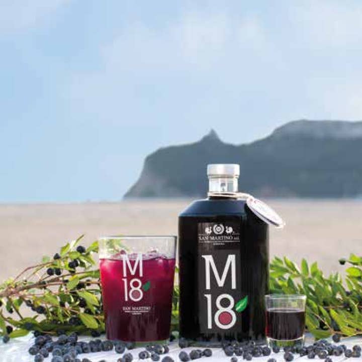 San Martino Liquori - Wholesale Liqueur - M18 Myrtle from Sardinian berries at 18°