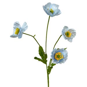 Purchase Wholesale freckled poppy. Free Returns & Net 60 Terms on Faire