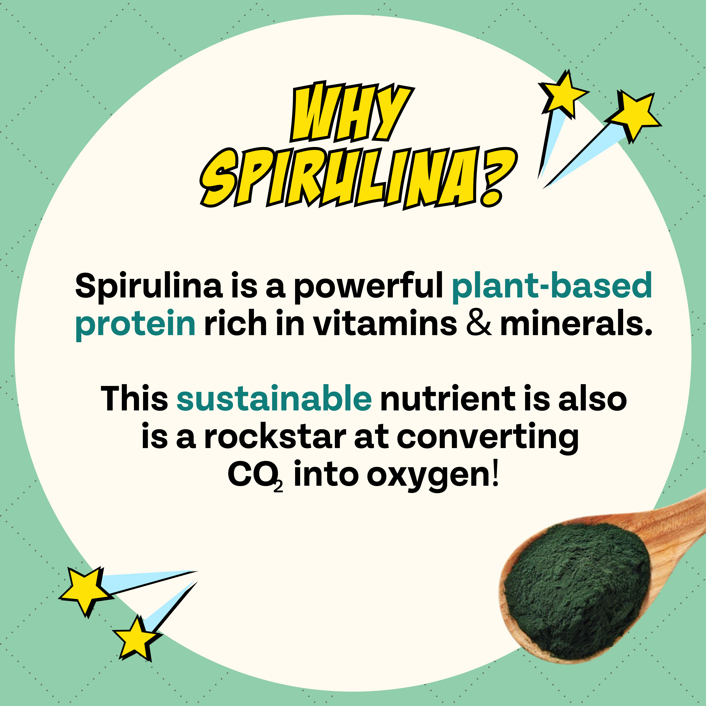 Chippin - Wholesale Pet Treats - Dog - Veggie Dailies Kale Carrot Spirulina Dog Treats3