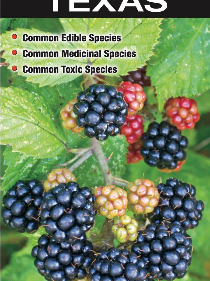 Edible and Medicinal Plants of Texas for wholesale by Quick Reference Publishing, Inc