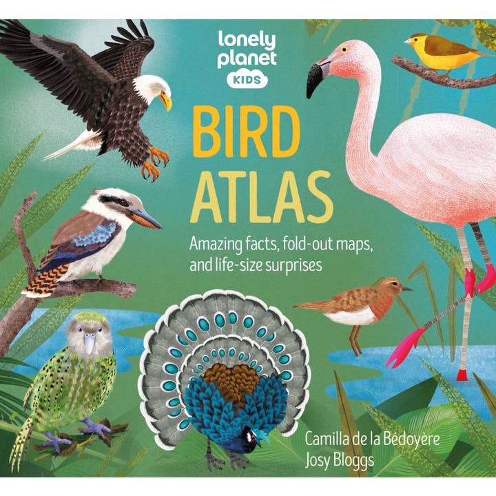 Lonely Planet Kids Bird Atlas for wholesale by Hachette Book Group