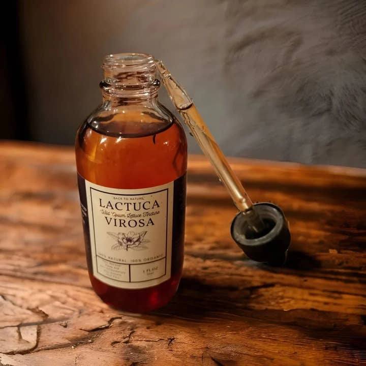 Bio-Wildsalat-Tinktur für den Großhandel von Back2Nature Herbals