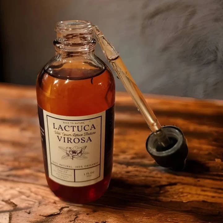 Tintura di lattuga selvatica biologica per la vendita all'ingrosso da parte di Back2Nature Herbals