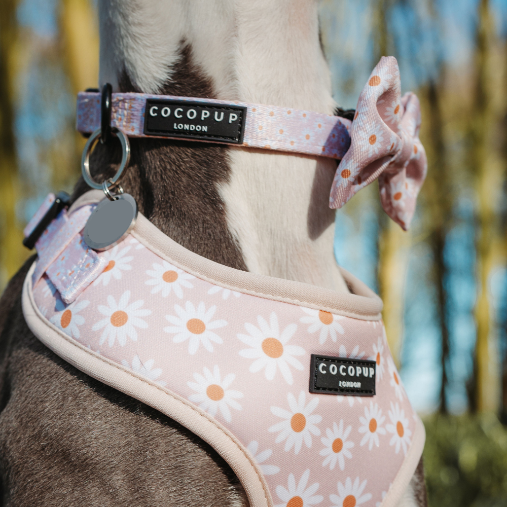 Cocopup London – wholesale Pet collar – Dog – Daisy Chain Collar4