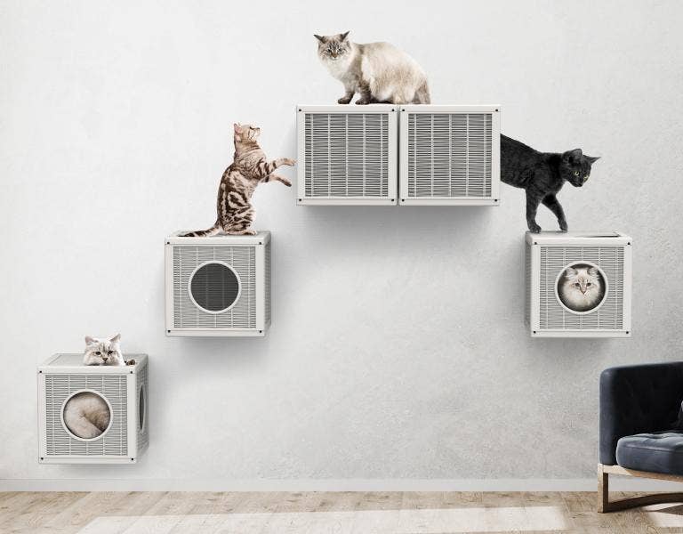 Newflands – wholesale Kattkliare - Katt – Qublo Kattgym1