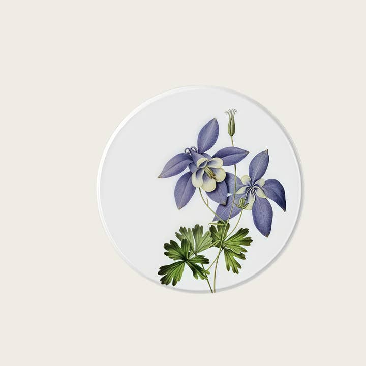 Otterware - Wholesale Coasters - Absorbent Diatomite Coasters - Vintage Botanical Designs5