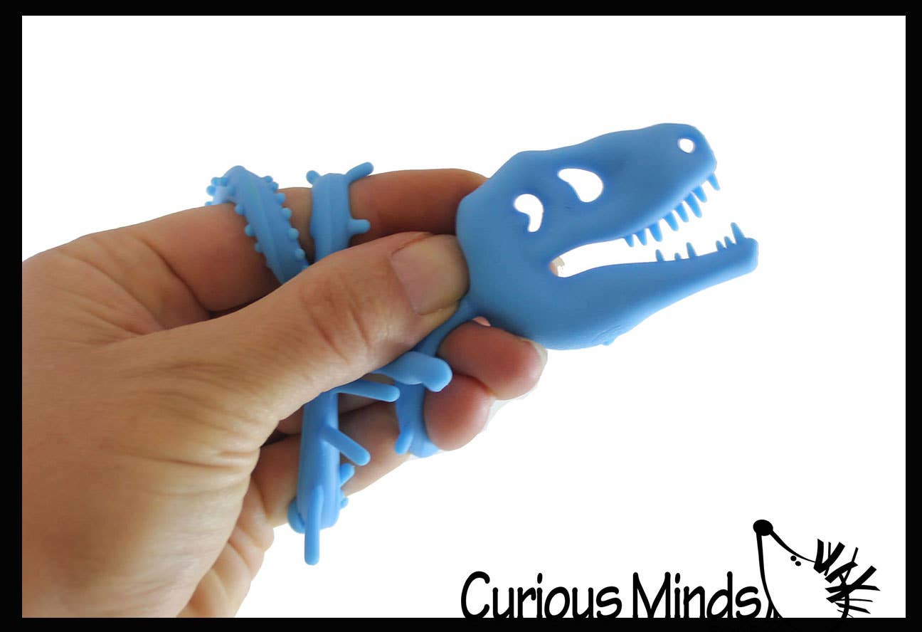 Curious Minds Toys – Großhandel Fidget Toy – Kinder – 1 x dehnbares Nudelband mit Dinosaurierskelett und fossilem Knochen2