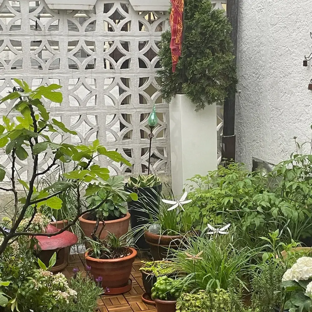 608 The Factory - Wholesale Garden/Lawn Stake - Metal Dragonfly Garden Stake Set of 24 Dragonflies5