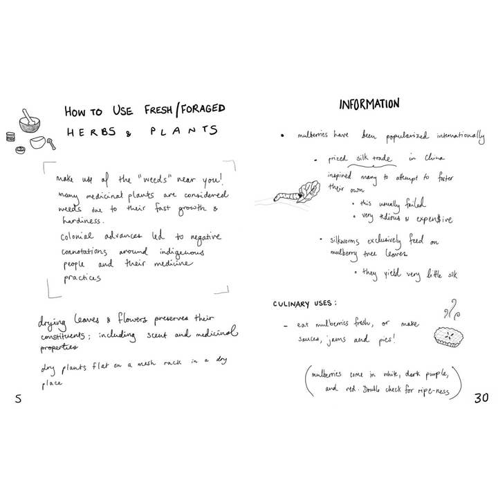 Microcosm Publishing & Distribution - Wholesale Nature & Outdoors - Herbs & Plants for Food & Medicine: Field Kitchen Guide Zine4