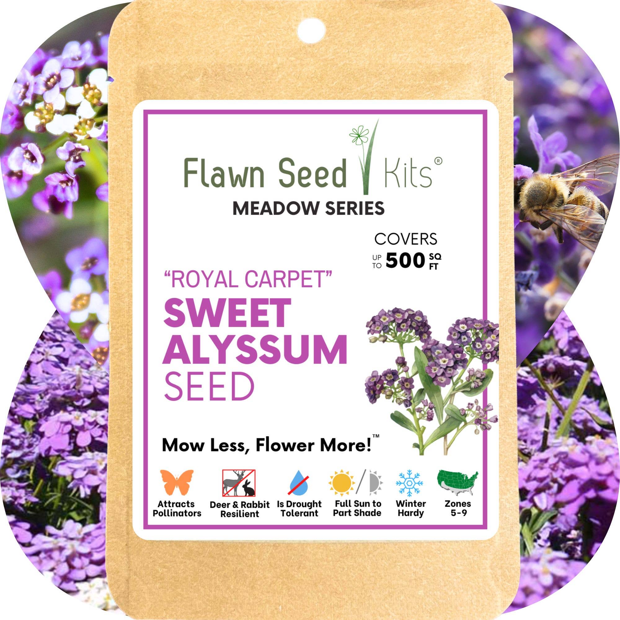 Flawn Seed Kits - Wholesale Plant Seeds - Sweet Alyssum Royal Carpet Seed Pouches5