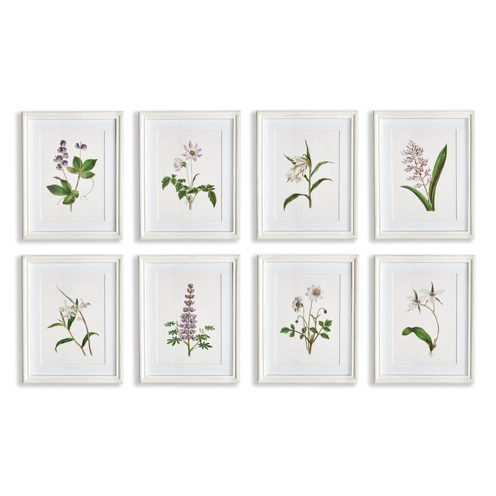 Flowers In Bloom Petite Prints, Set Of 8 for wholesale by Napa Home & Garden