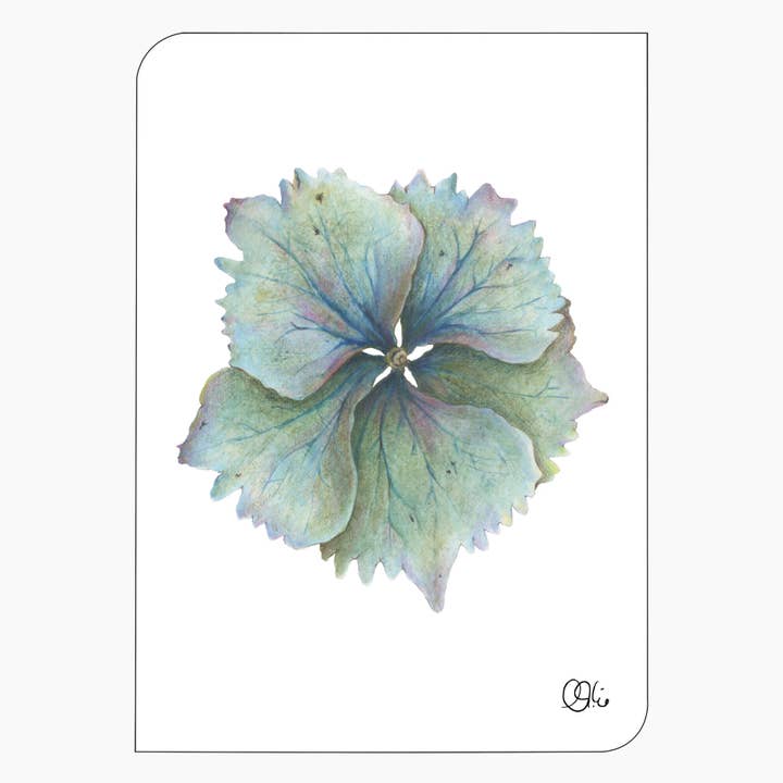 Postkarte - Hortensienblüte - Gartenblumen Aquarell - türkis für den Großhandel von christine wiegelmann design