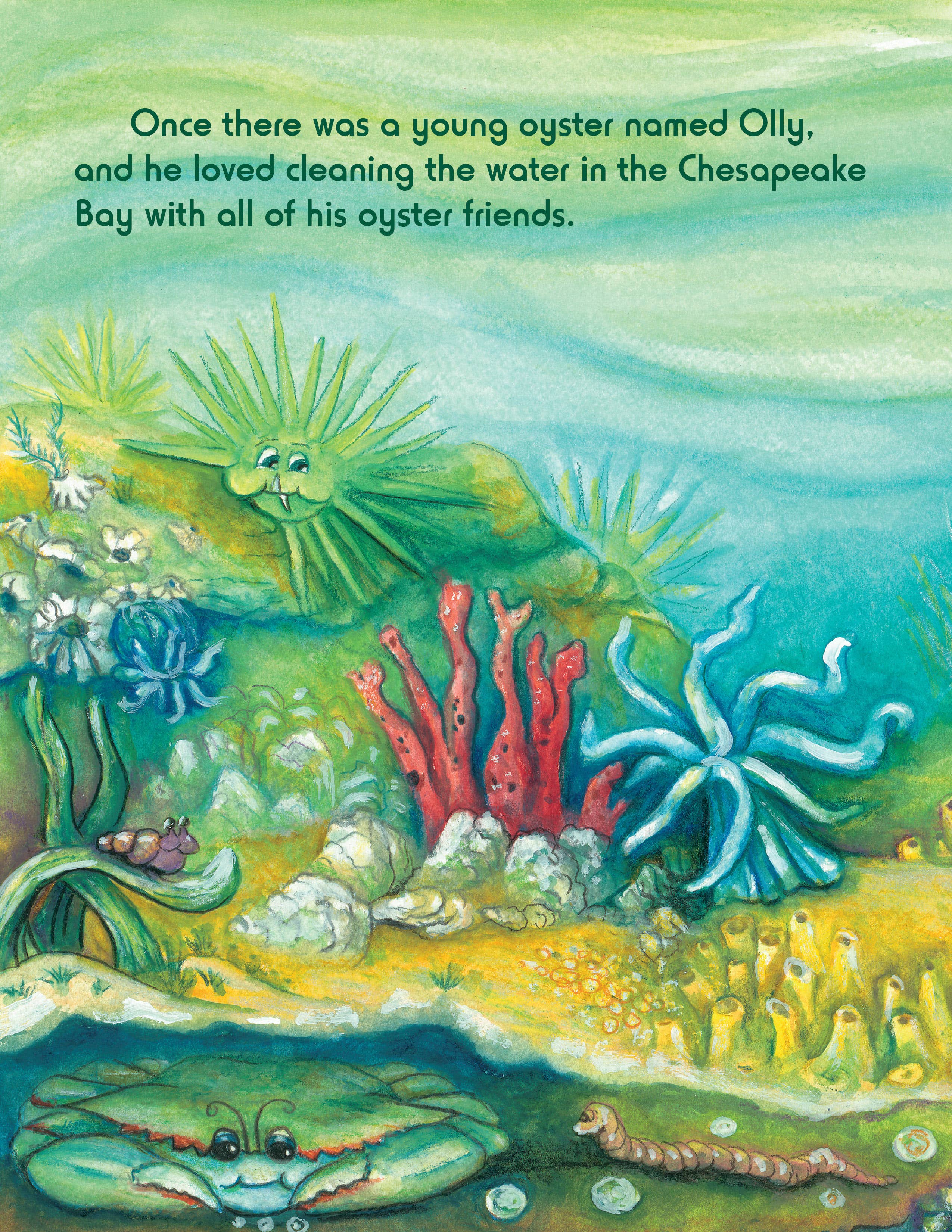 Schiffer Publishing - Wholesale Early Reader Book (6-8) - Olly's Treasure1