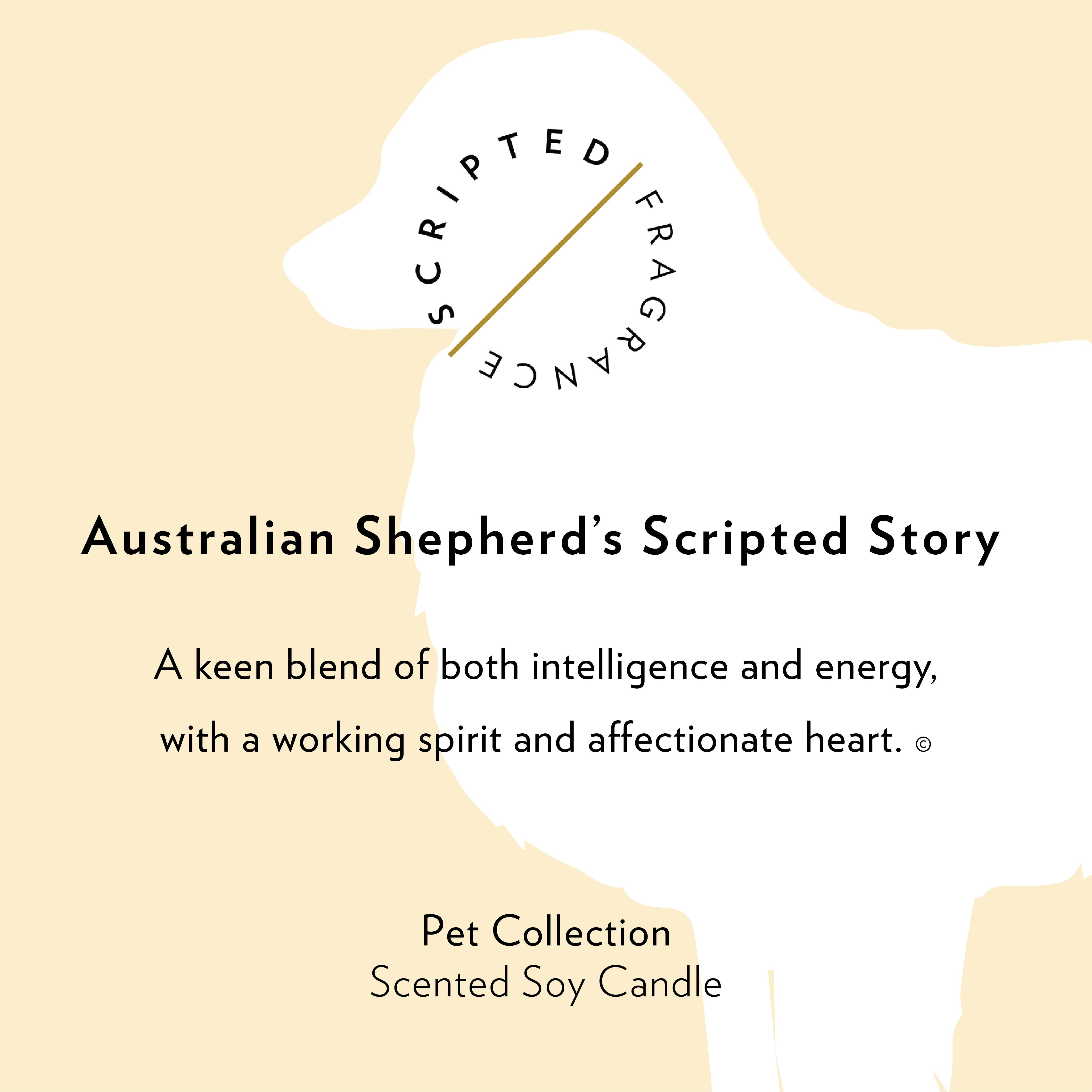 Scripted Fragrance - Wholesale Jar/Filled Candle - Australian Shepherd Dog Soy Candle in Drinking Glass8