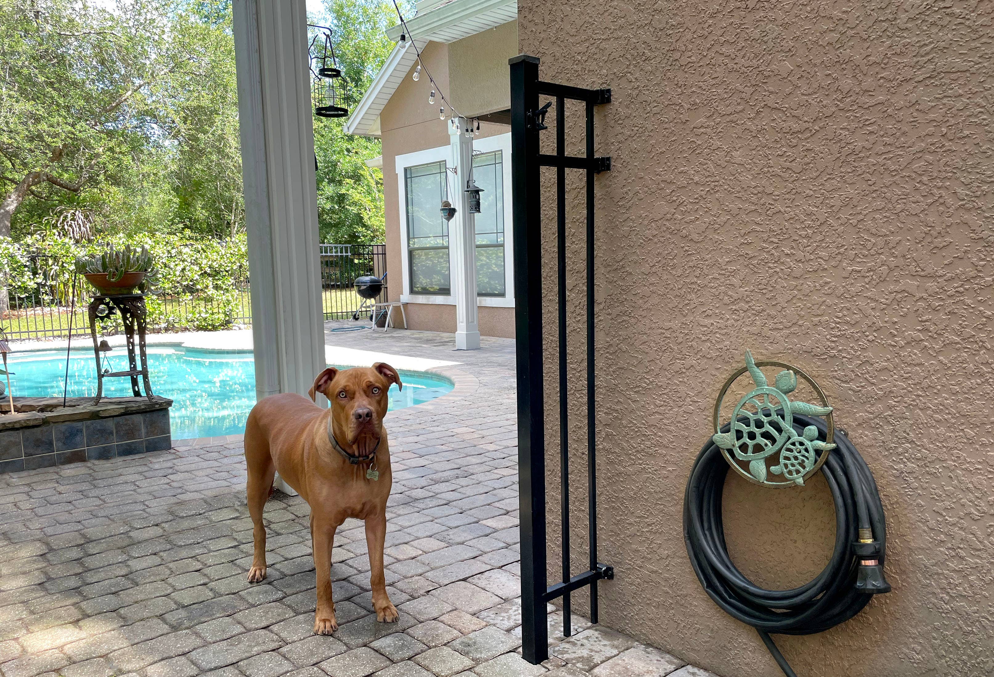 Zeckos - Wholesale Outdoor Ornament/Decor - Verdigris Bronze Finish Cast Iron Sea Turtle Hose Holder5