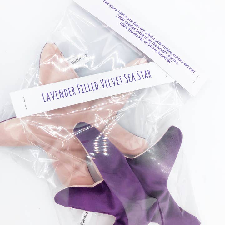 Hissing Mink – Peluche - Crianças e bebés por atacado – Estrela-do-mar de Veludo Recheada com Lavanda1