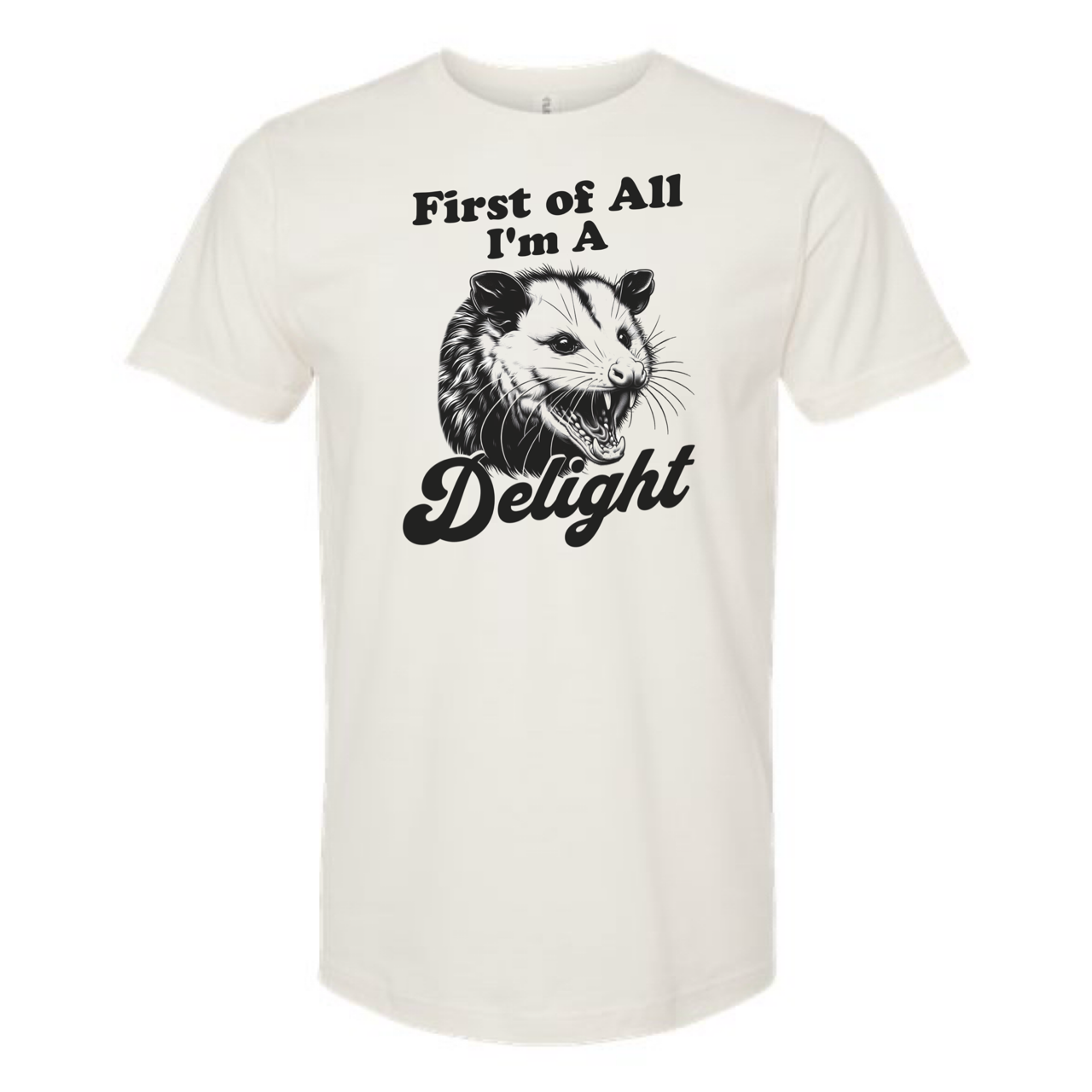 dkhandmade - Wholesale Screen Printed T-Shirt - Unisex - FIRST OF ALL I'M A DELIGHT T-SHIRT3
