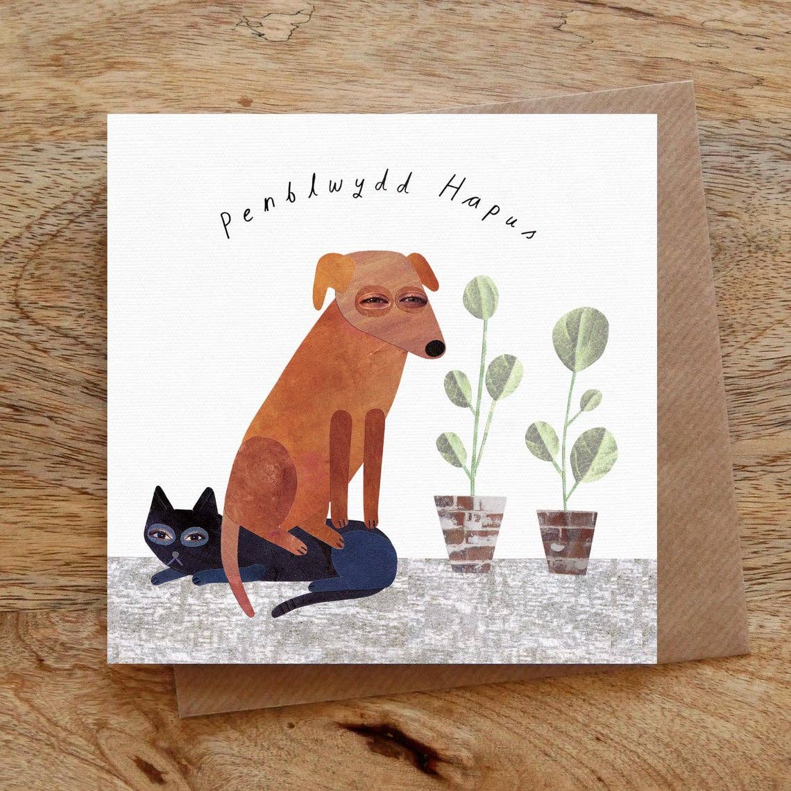 Paperwhale Cards & Paper Goods - Wholesale Birthday Card - Birthday Dog Welsh Card1