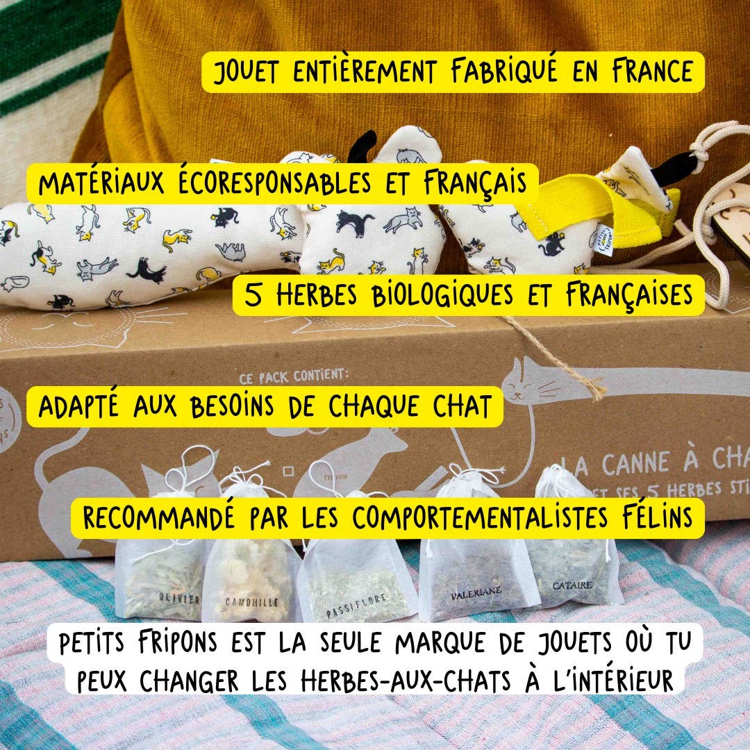 Petits Fripons - Wholesale Pet Toy - Cat - The cat cane + 5 herbs pack2