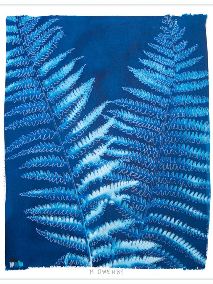 Ostrich Fern for wholesale by Gavalina