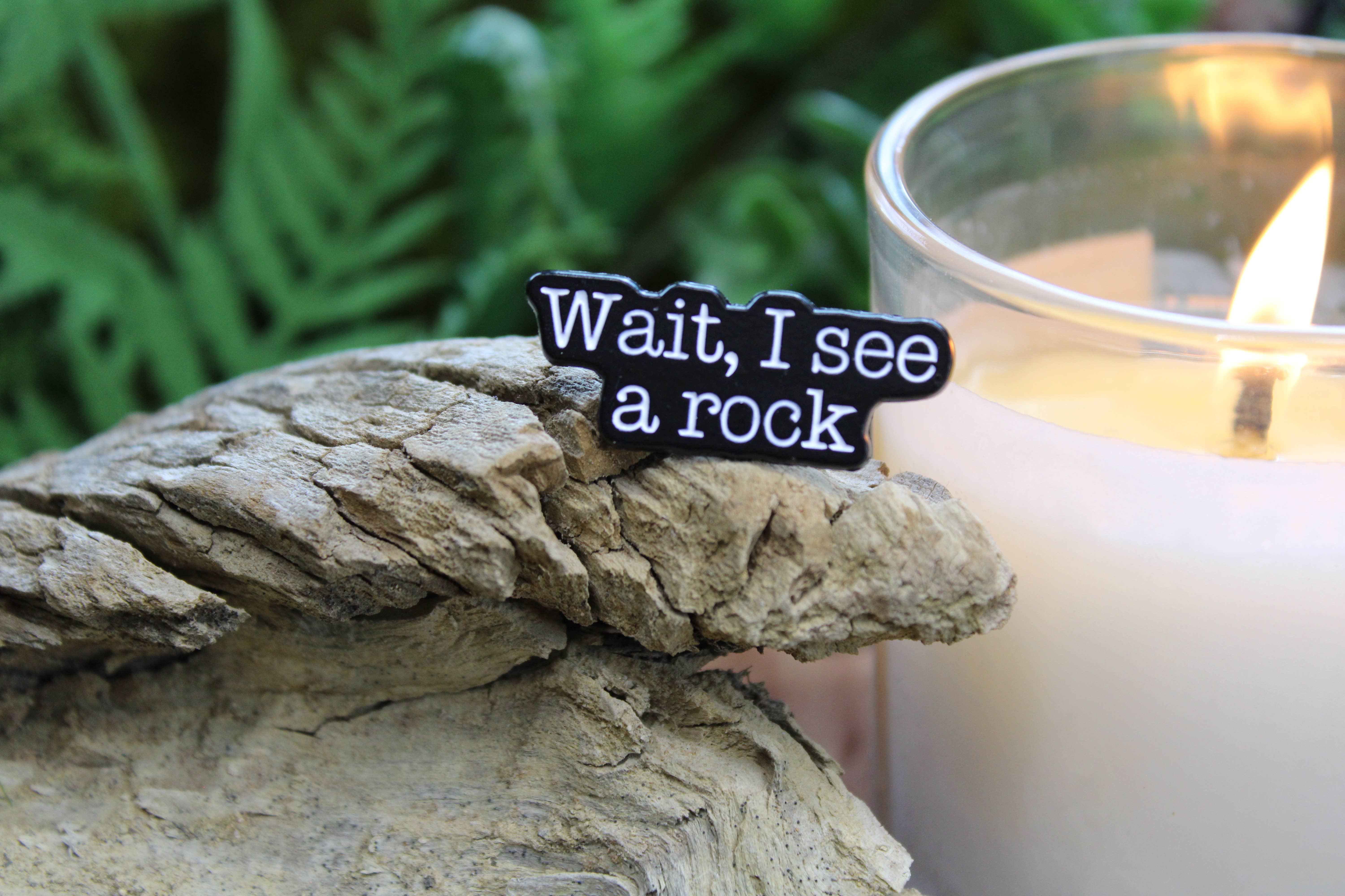 National Parks and Beyond - Wholesale Lapel Pin/Button - Wait, I See A Rock Enamel and Metal Lapel Pin1