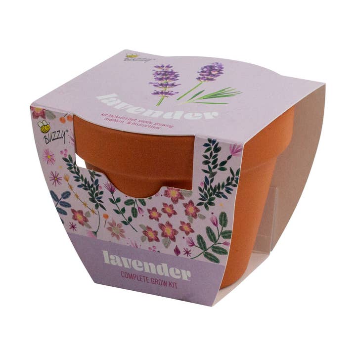 Buzzy Seeds Grow Gifts - Wholesale Plant Seeds - Classic 7cm Terracotta Lavender Grow Kit – Indoor Herb Gift3