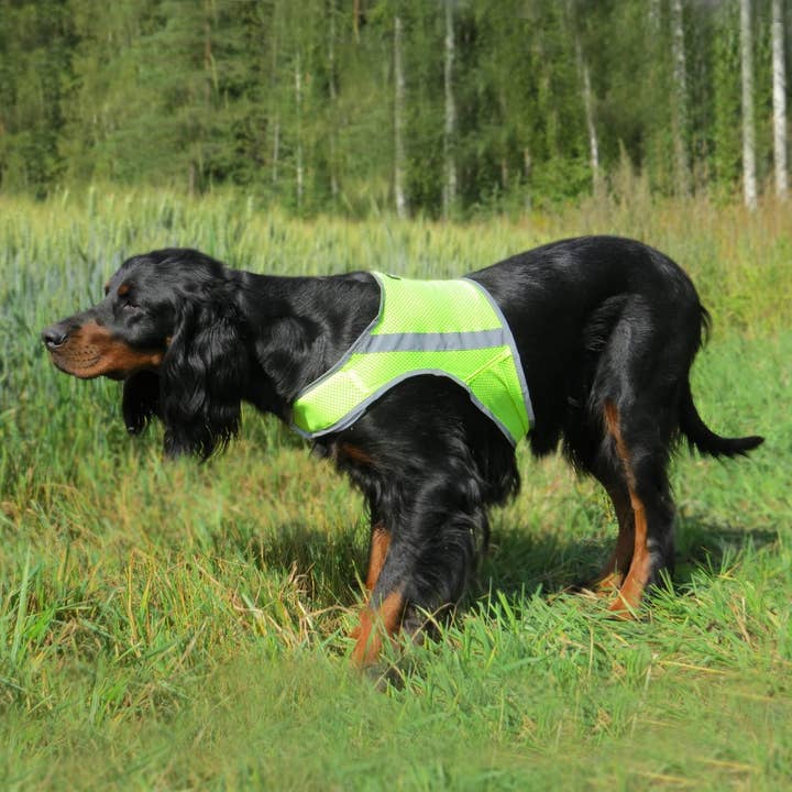 FINNERO - Wholesale Pet Vest - Dog - FINNERO ATTE Reflective Dog Attention Vest, 3 colors7