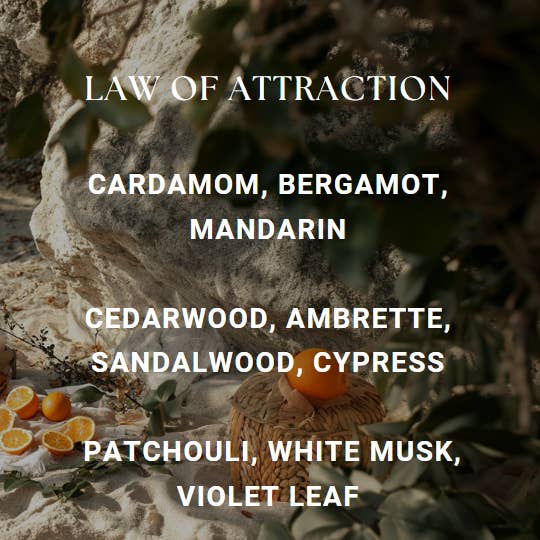 Y Dimension - Wholesale Perfume/Eau de Toilette - LAW OF ATTRACTION