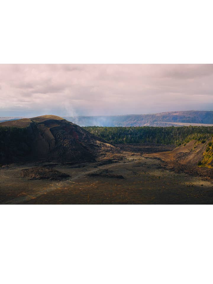 Hawái número 5 para venta al por mayor de Wilder California