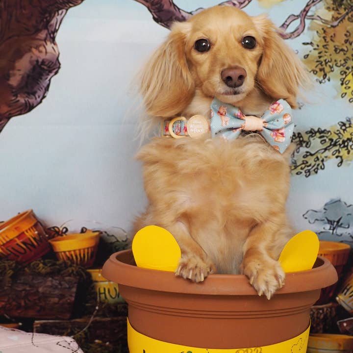 Pawsome Paws - Wholesale Pet Bow Tie - Dog - Disney© Bow Tie - Winnie The Pooh