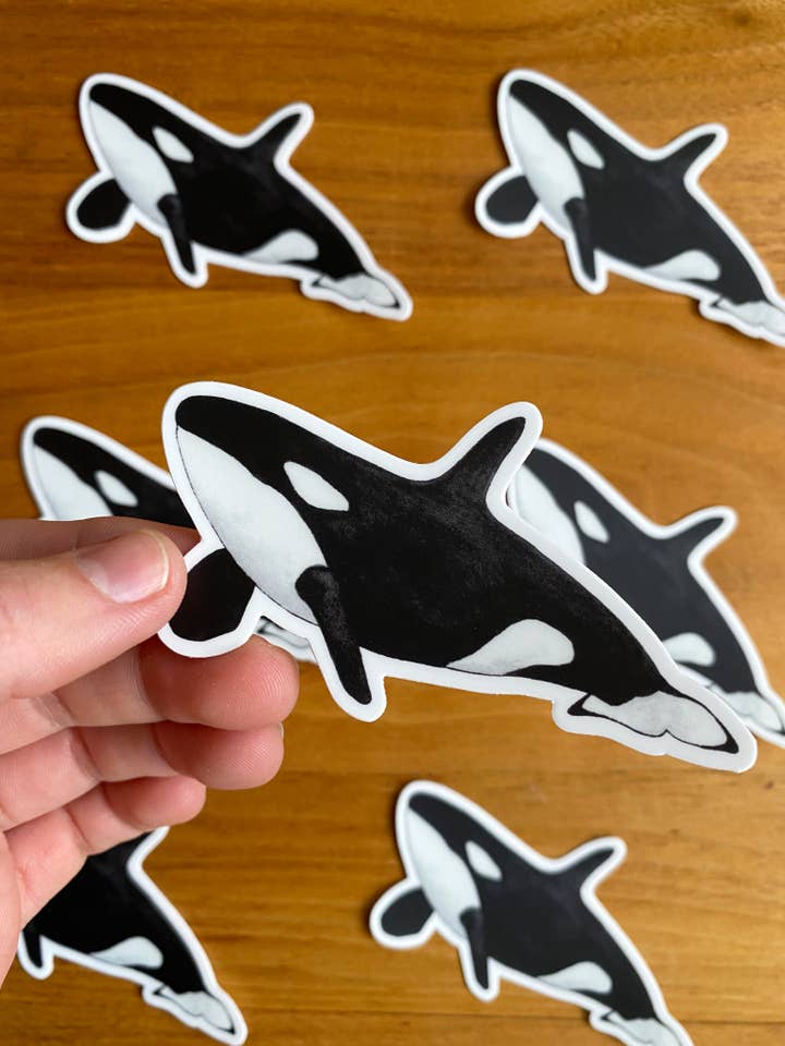 Orca Whale / Killer Whale Watercolor Sticker | 3.5" x 2" for wholesale by Fern In The Forest