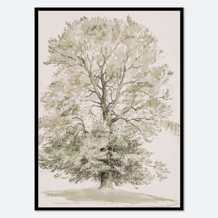 Stampa artistica ad acquerello rustico europeo vintage VP11 per la vendita all'ingrosso da parte di Sugar & Canvas