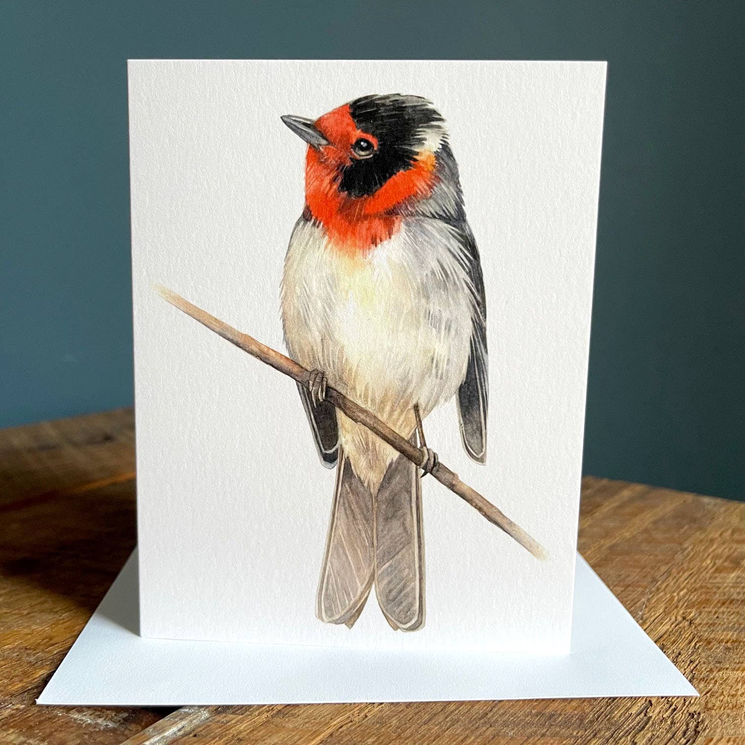 Amy Shawley Paquette - Wholesale Everyday Greeting Card - Red-faced Warbler - Blank Note Card0