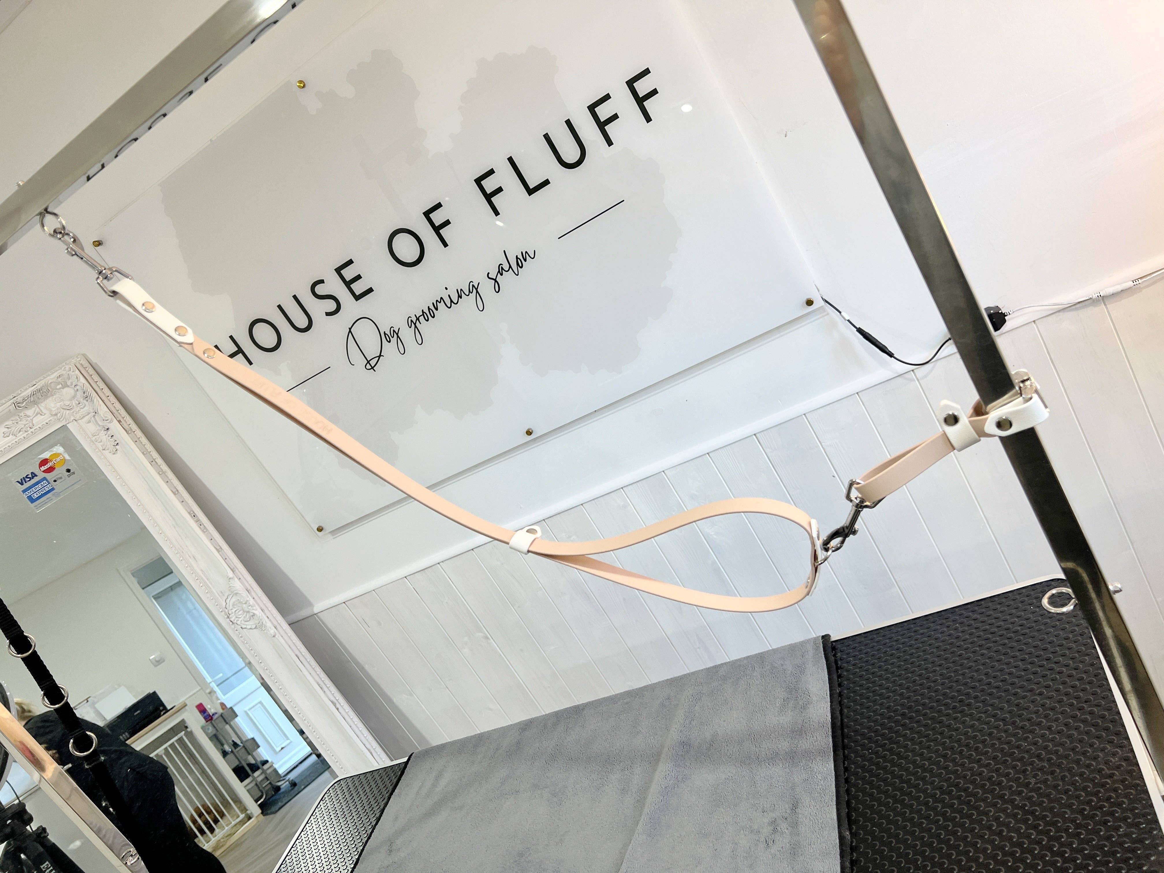 My Pawchella - Wholesale Hondenriem - Hond - My Pawchella groomingriem met D-ring van 142 cm2