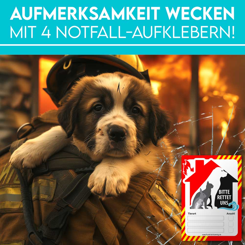 H.I.K. GmbH – wholesale Klistermärke – 4 nödstickers för djurräddning till dörr och fönster2