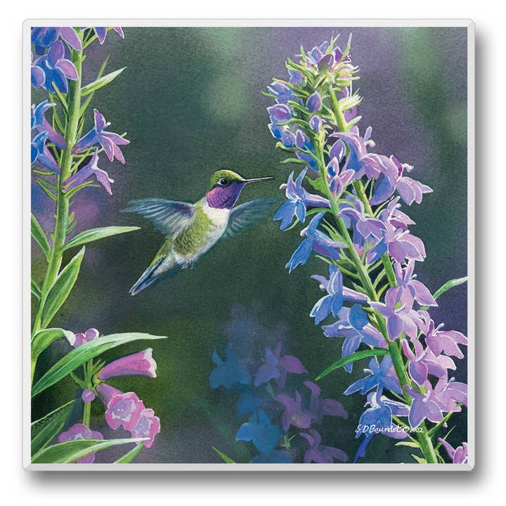 CounterArt/Highland Home/Thirstystone/CoasterStone - Wholesale Retailer Display - Home & Living - Take Flight Pre-Packed Single Coaster Display