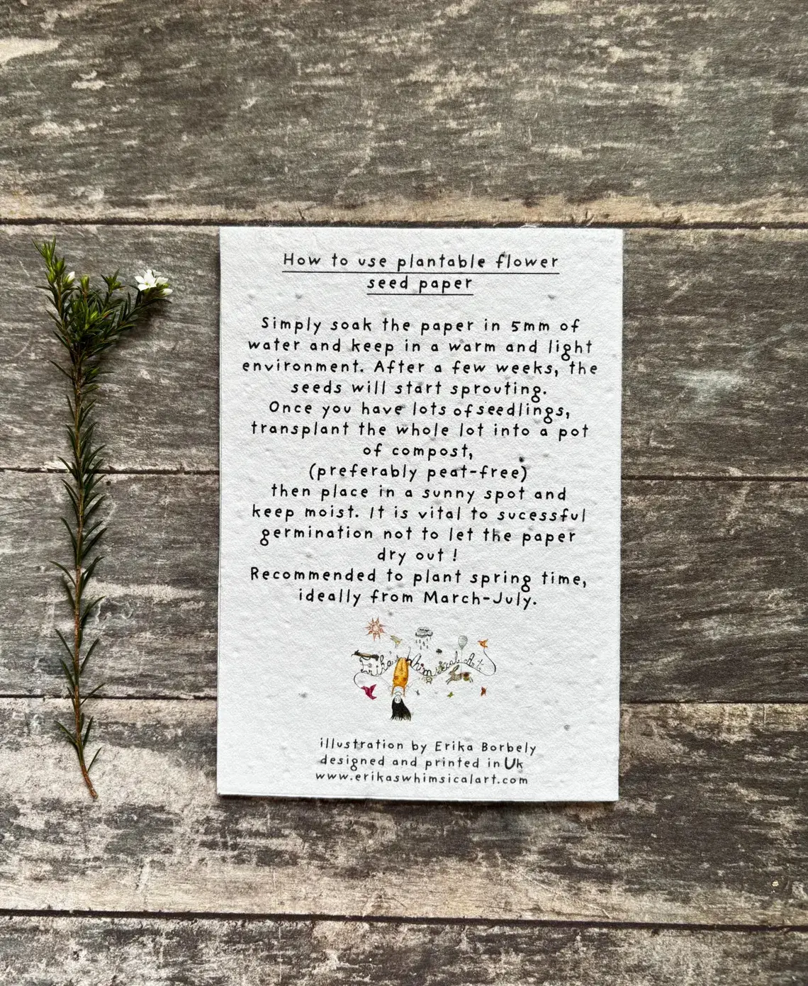 Erika's Whimsical Art – wholesale Birthday card – Plantable  Seed Paper Birthday Moth Card, Blank Inside 7