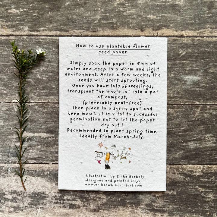 Erika's Whimsical Art – wholesale Birthday card – Plantable Seed Paper Birthday Moth Card, Blank Inside 7