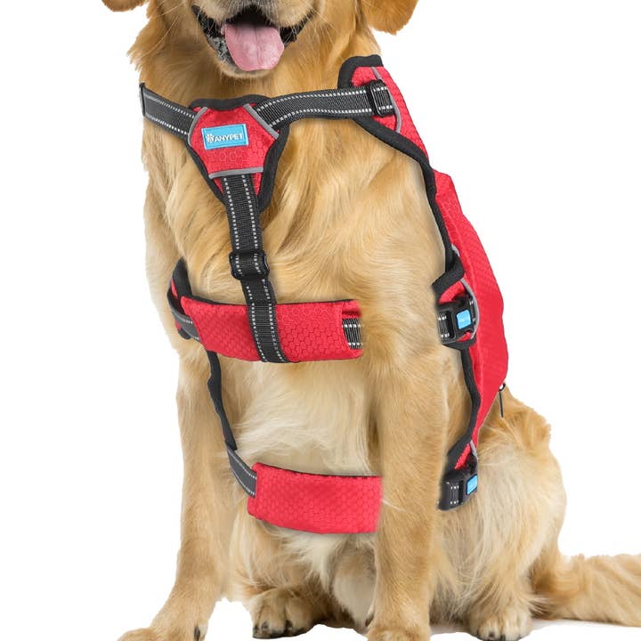 Harnais pour chien AnyPet, grand harnais sans traction pour chiens pour la vente par Equity Brands