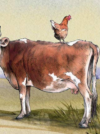 Milk and Eggs #32 for wholesale by Shawn Braley Illustration