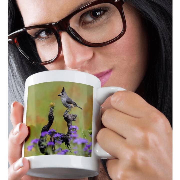 3dRose - Wholesale Coffee Mug - 3dRose, Black-crested Titmouse, Baeolophus atricristatus, perched., Mug9