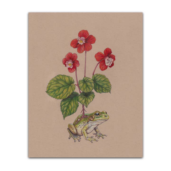 Toad for wholesale by Beautymarkings