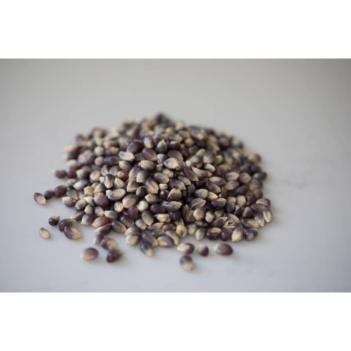 Amish Country Popcorn - Wholesale Popcorn - 1lb Bag of Blue Popcorn1