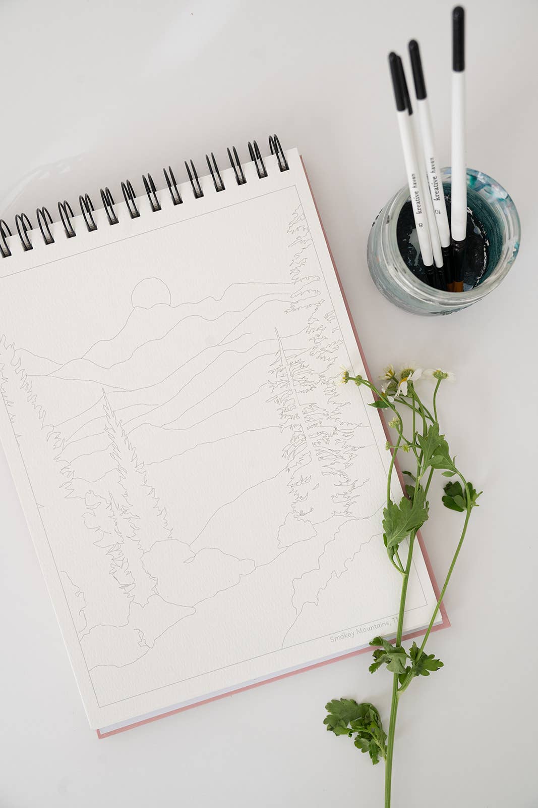 Bailey Rae Studio - Wholesale Watercolor Paint - National Parks Watercoloring Book-Outlines w/Video Tutorials12