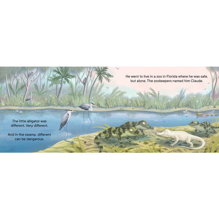 Penguin Random House LLC - Wholesale Preschool Book (3-5) - Claude : The True Story of a White Alligator3
