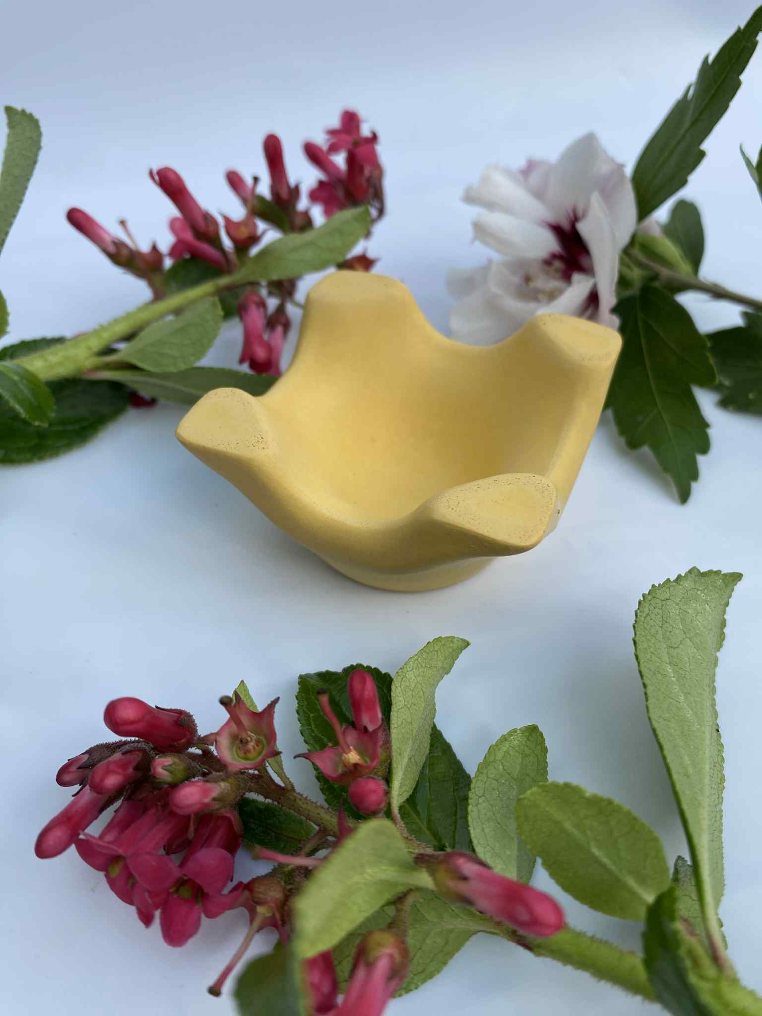 Little Lottie’s - Wholesale Egg cup/holder - Yellow Egg Cup – Colourful Breakfast Tableware3