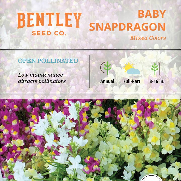 Bentley Seed Co. - Wholesale Plant Seeds - Baby Snapdragon - Seed Packets