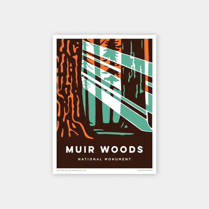 Muir Woods Sun Rays 8 x 10 unframed print for wholesale by Sweet Bippy Press