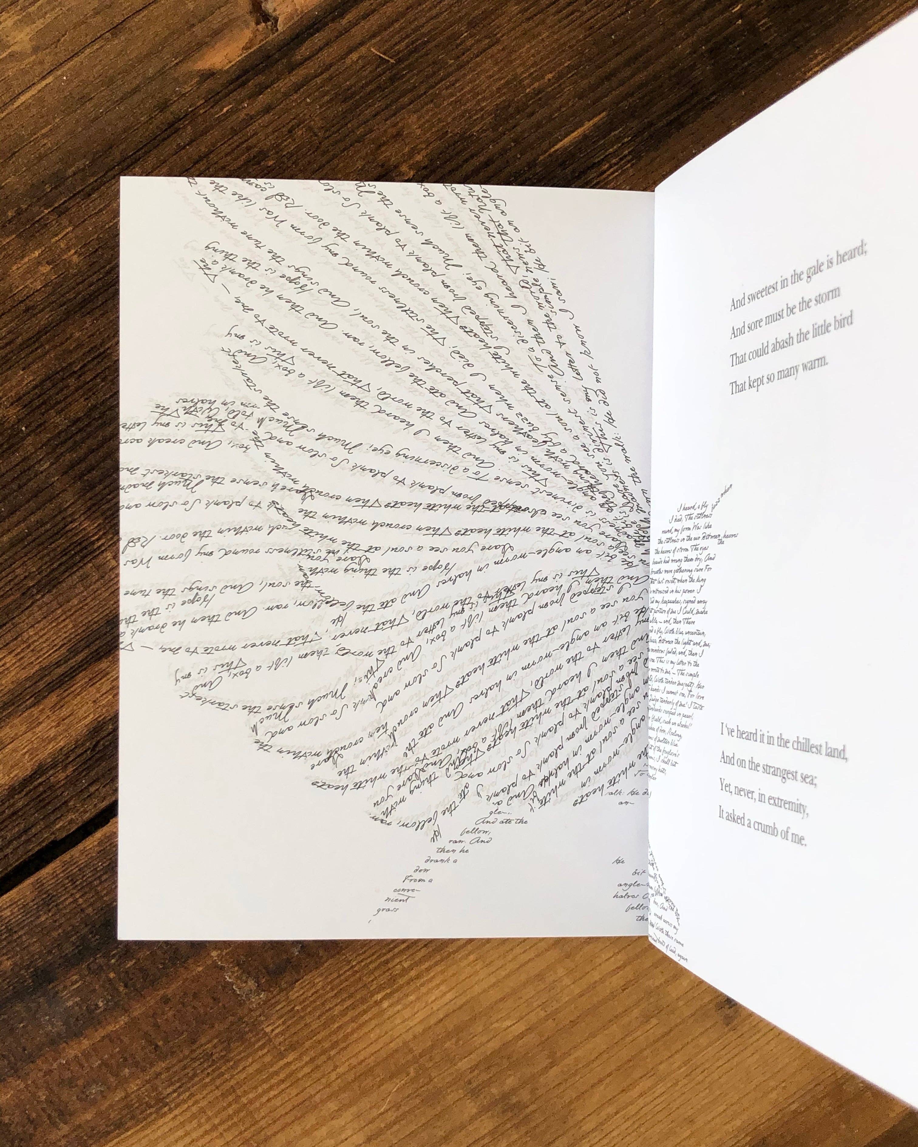 Obvious State - Wholesale Poetry & Drama - Hope is the Thing, Emily Dickinson4