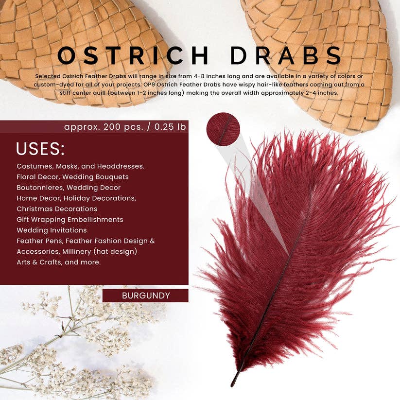 Zucker Feather Products - Wholesale Feathers - Ostrich Feathers 4-8" Drabs - Burgundy4